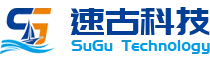 深圳某某有限公司